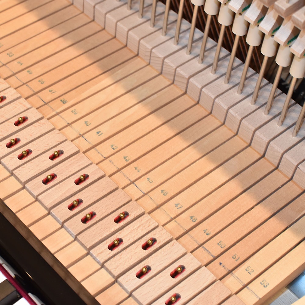YAMAHA YUS5ENST