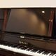YAMAHA YUS5ENST