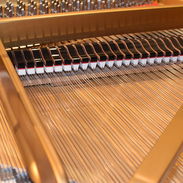 STEINWAY & SONS 　B-211
