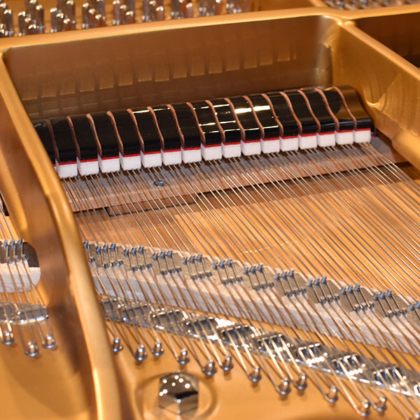 STEINWAY & SONS 　B-211