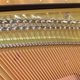 YAMAHA YU11SH2