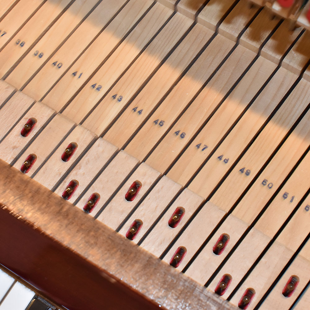 YAMAHA U10BiC
