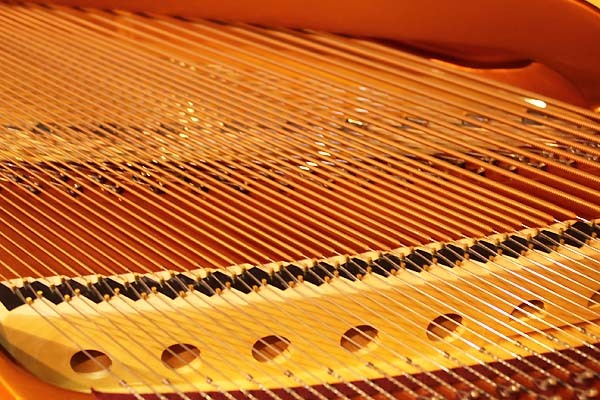 Bösendorfer ヨハンシュトラウスModel.200