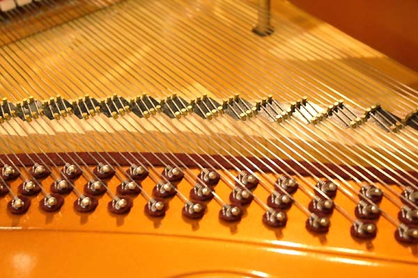 Bösendorfer ヨハンシュトラウスModel.200