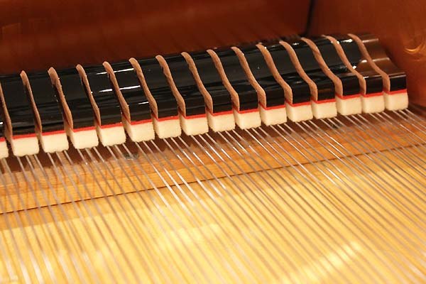 Bösendorfer ヨハンシュトラウスModel.200