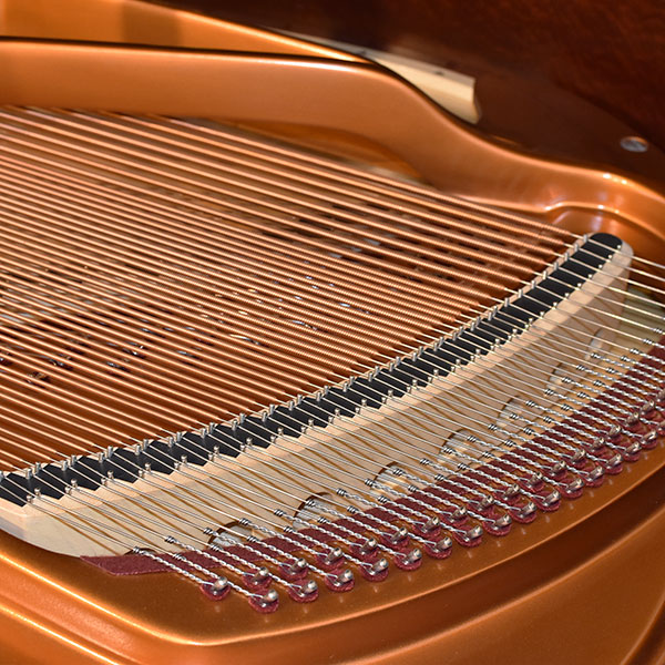 Bösendorfer Model 170