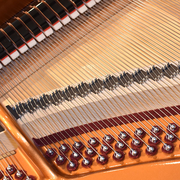 Bösendorfer Model 170