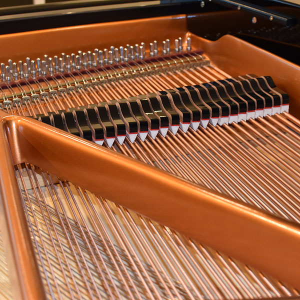 Bösendorfer Model 170