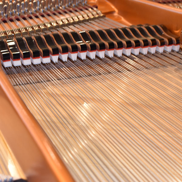 Bösendorfer Model 170