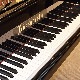 Bösendorfer Model 170