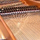 Bösendorfer Model 170
