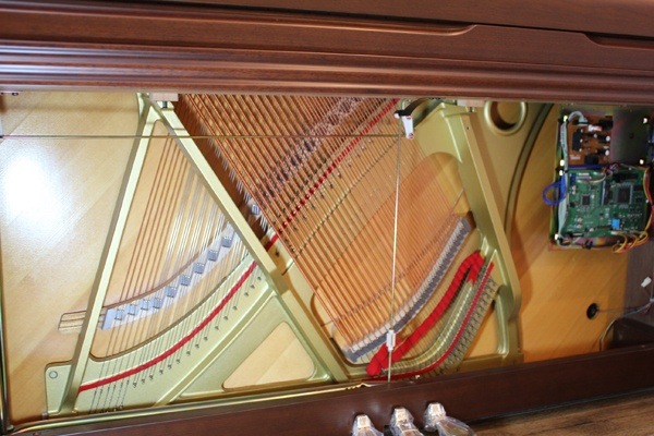 YAMAHA YU5Wn-SZ サイレント