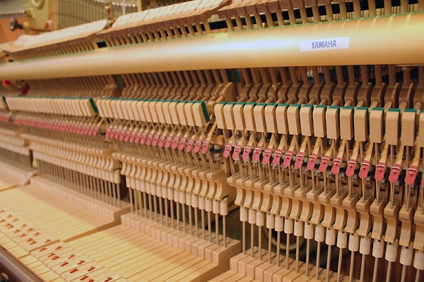 YAMAHA YU5Wn-SZ サイレント