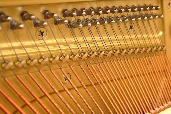 YAMAHA YU5Wn-SZ サイレント