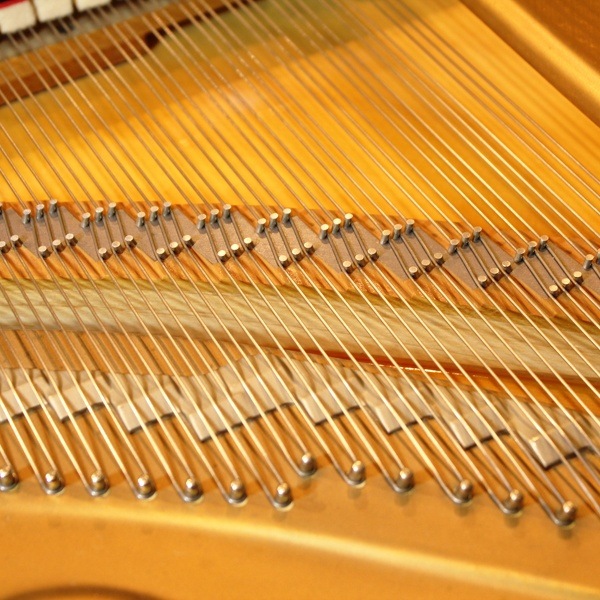 STEINWAY & SONS M-170