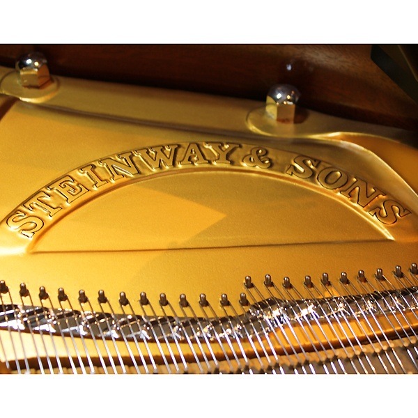 STEINWAY & SONS 　S-155