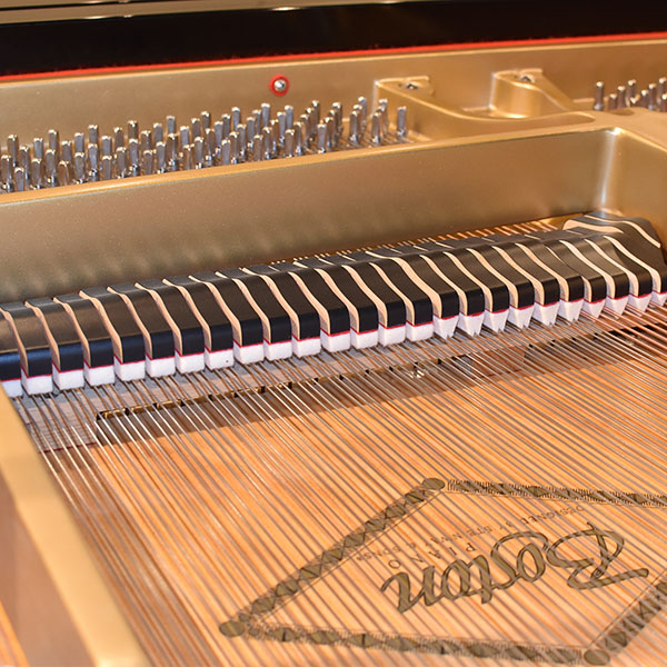 ピアノさま専用 ピアノさま専用 Joe Hisaishi - Summer - YouTube