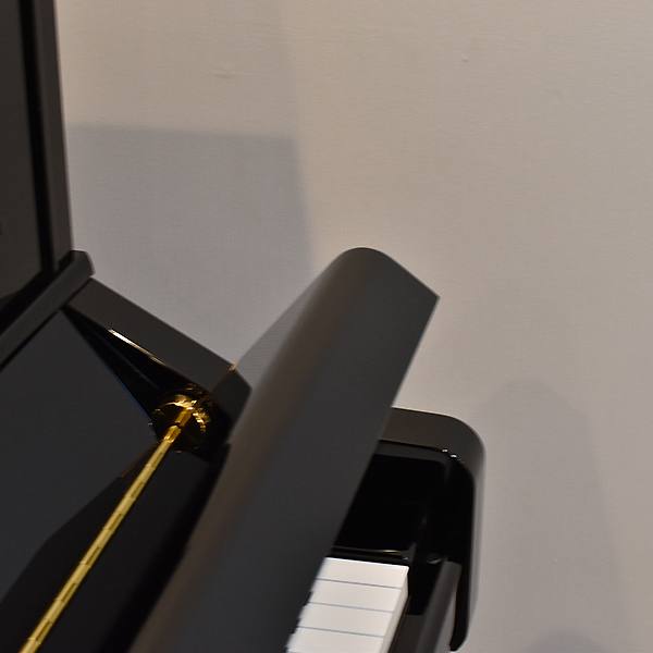 YAMAHA YS10SB サイレント