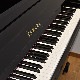 YAMAHA YS10SB　サイレント