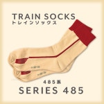 TRAINISMۥȥ쥤󥽥å485ϡʥ481-336