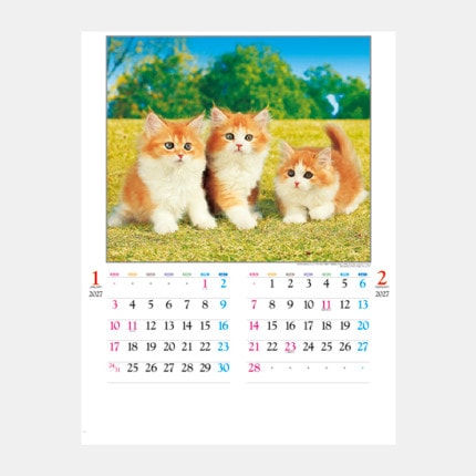 ̾���쥫������IC-201H ���襤��ǭ