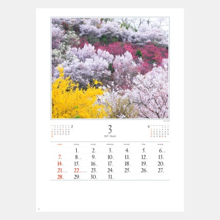 ̾���쥫������NK-137 ���ܤ�ī