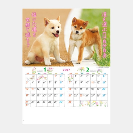 ̾���쥫������IC-202H �����̤Τ����
