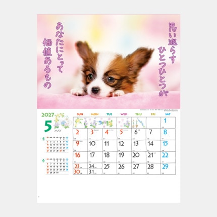 ̾���쥫������IC-254H ���ޤ���