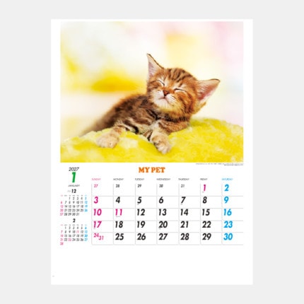 ̾���쥫������IC-261H �ޥ��ڥå�