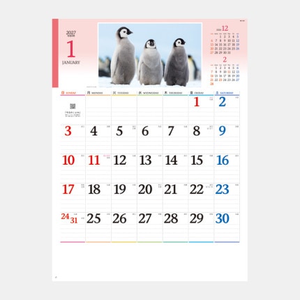 ̾���쥫������NK-104 ���襤��ưʪ����