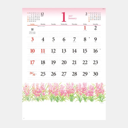 ̾���쥫������NK-173 �ե��꡼�����