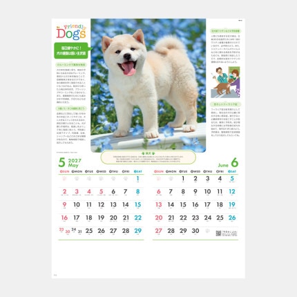 ̾���쥫������NK-24 �ե��ɥ꡼�ɥå���