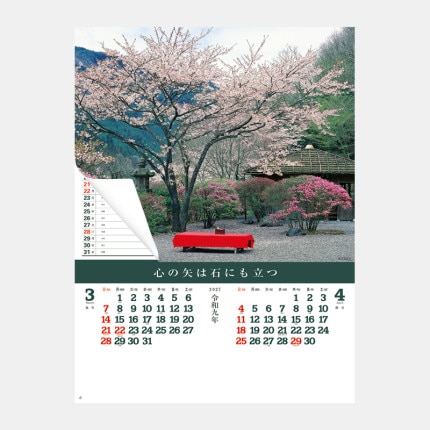 ̾���쥫������NK-26 �����ʥ���å�����⡦΢�̥ޥå��ա�