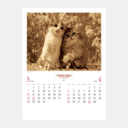 ̾���쥫������NK-27 �ϥ�������å�
