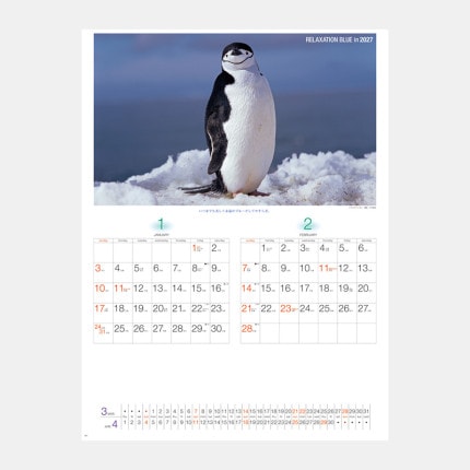 ̾���쥫������NK-32 ��饯���������֥롼