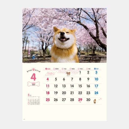 ̾���쥫������NK-35 �Ƹ��ޤ�Ȥ�����ݥ�������