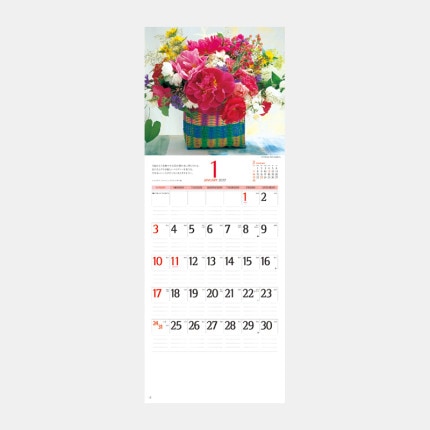 ̾���쥫������NK-427 �ե������󥶥ơ��֥롡�ʾ���