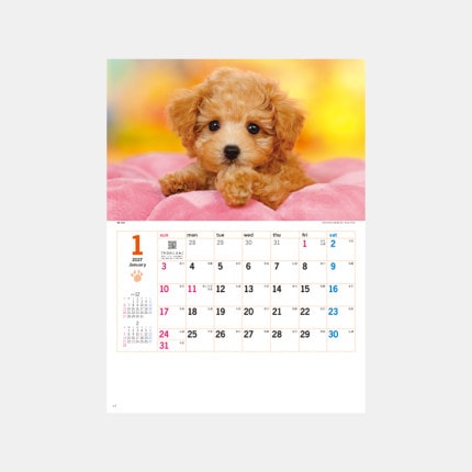 ̾���쥫������NK-454 ���󥭥塼�ɥå�