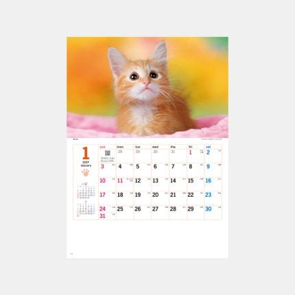 ̾���쥫������NK-455 ���󥭥塼����å�