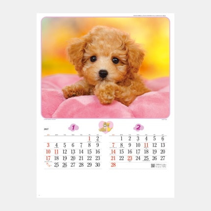 ̾���쥫������NK-49 ���㡼�ߥ󥰥ᥤ��(AC-4)