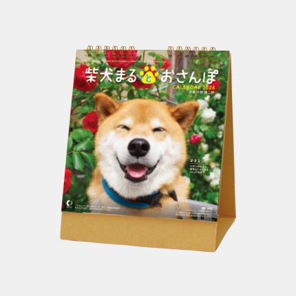 ̾���쥫������NK-529 ��塡�Ƹ��ޤ�Ȥ������