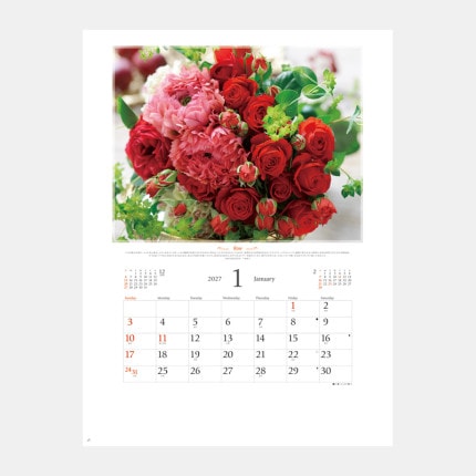 ̾���쥫������NK-71 �ե������ҡ���󥰡��ʲ���ˡ��