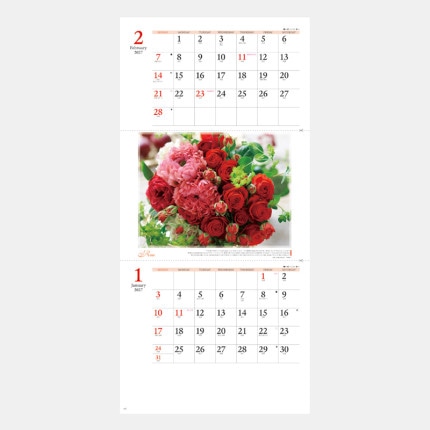 ̾���쥫������NK-903 �ե������ҡ���󥰡��ʲ���ˡ�ˡ��ʣ�����ʸ����