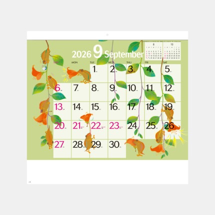 ̾���쥫������SG-161 �ϥåԡ����饹�ȥ������塼��