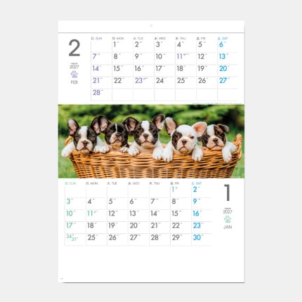 ̾���쥫������SG-197 THE DOGS���ߥ���������