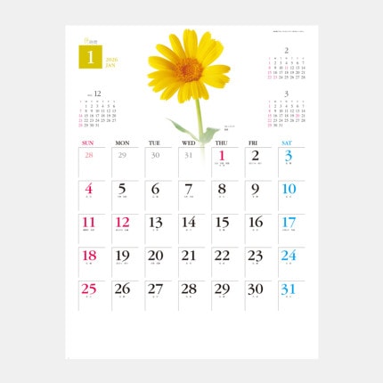 ̾���쥫������SP-80 �ֻ���