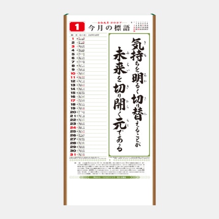 ̾���쥫������SR-510 �ԡ��ʤ��餷��ɸ�쥫��������