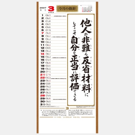 ̾���쥫������SR-550 �緿���ԡ��ʤ��餷��ɸ�쥫��������