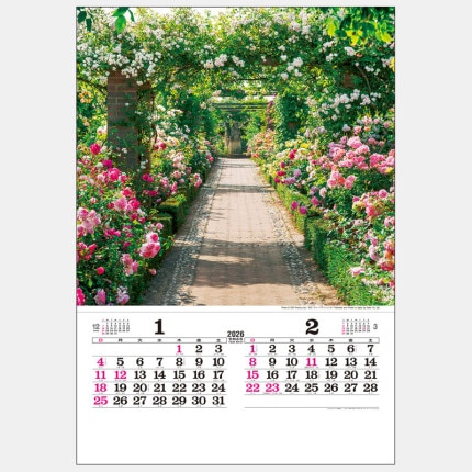 ̾쥫TD-535 󥰥å塦ǥ