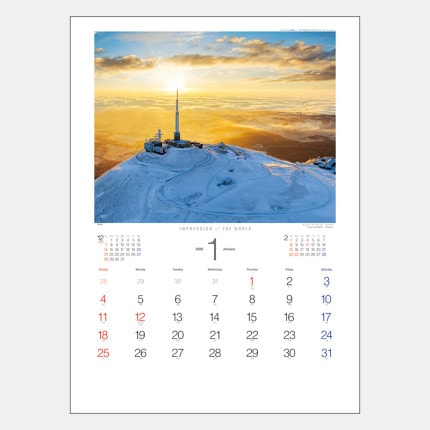 ̾���쥫������TD-651 ����ץ�å���󡦥��֡���������